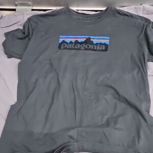 Patagonia Shirt